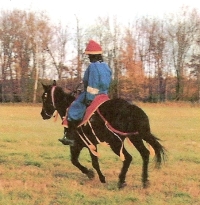 Ayyubid running