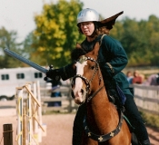 magyar horse, german rider